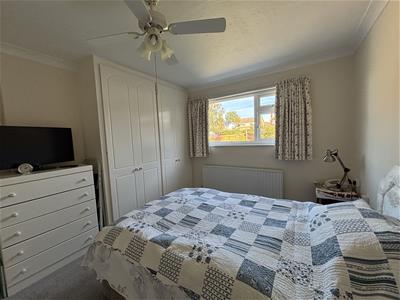 Picture 7